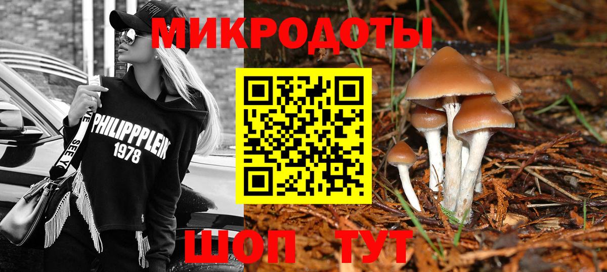Галлюциногенные грибы GOLDEN TEACHER  Вход с VPN  Псилоцибиновые грибы Psilocybine cubensis  Тулун 
