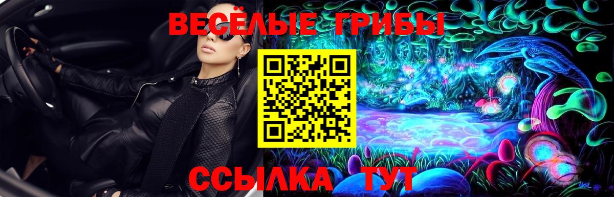 Псилоцибиновые грибы Cubensis Тулун